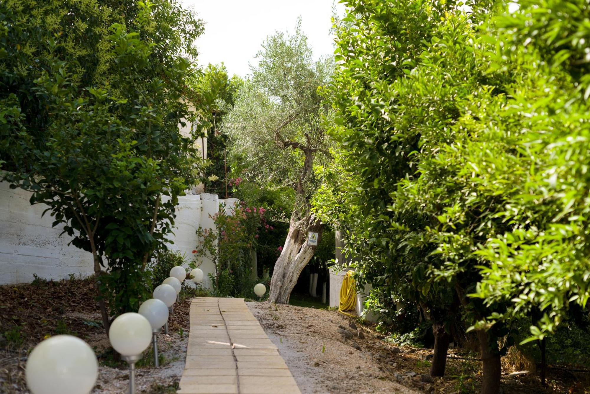 Oasis Home Tolo Exterior photo